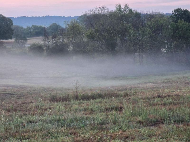 32975 Salem School Lot Road, Langsville, OH 45741 Photo 11