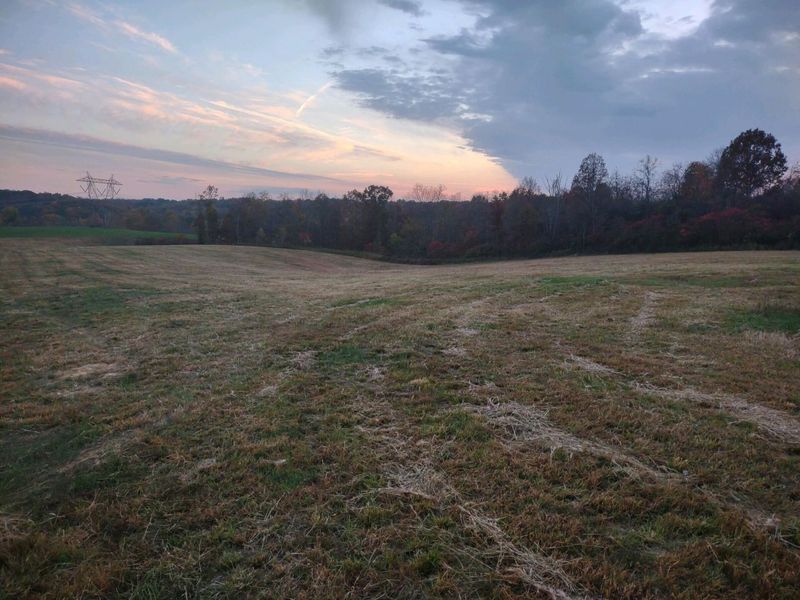 32975 Salem School Lot Road, Langsville, OH 45741 Photo 4