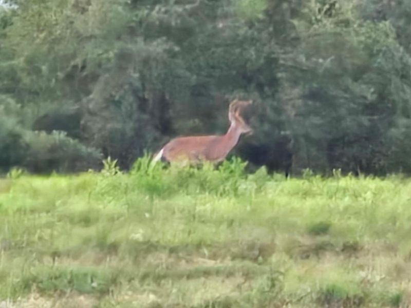 32975 Salem School Lot Road, Langsville, OH 45741 Photo 6