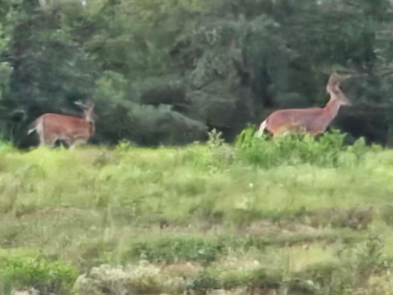 32975 Salem School Lot Road, Langsville, OH 45741 Photo 7