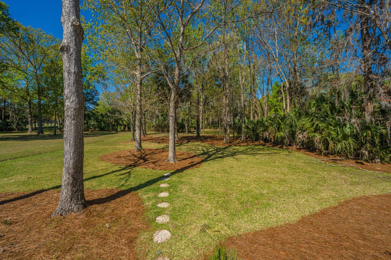 3930 Colonel Vanderhorst Circle Photo 36