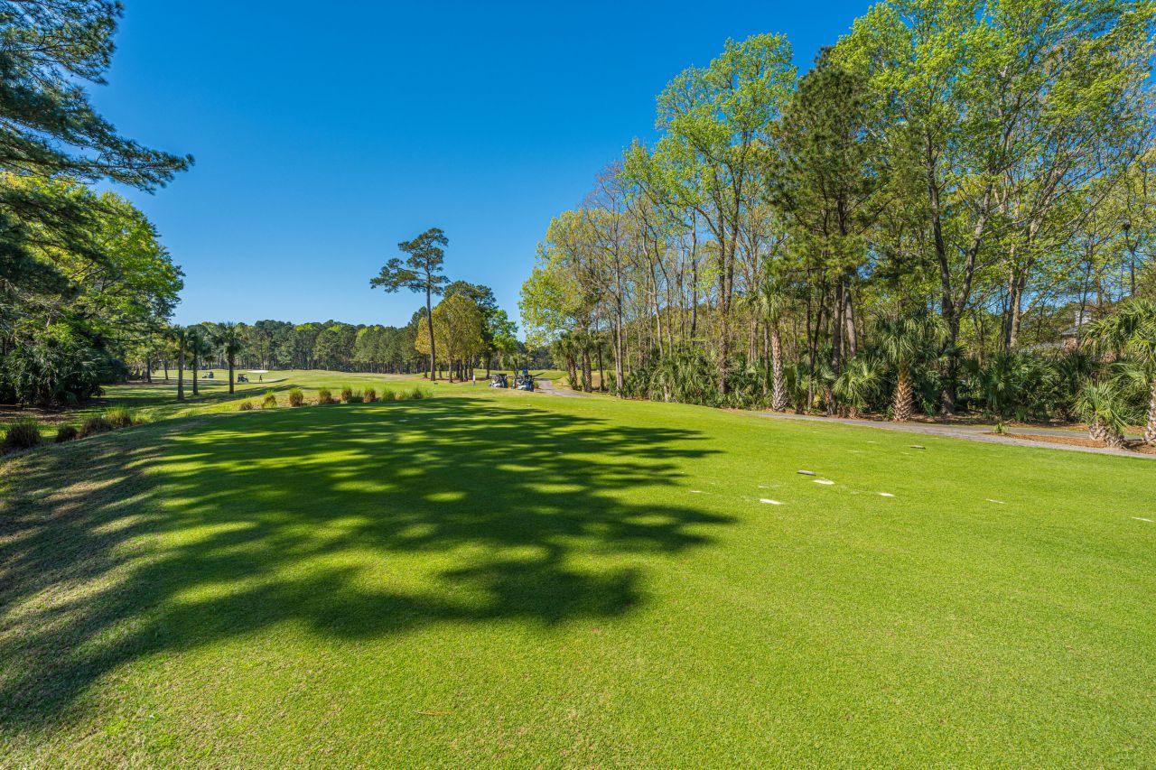 3930 Colonel Vanderhorst Circle Photo 38