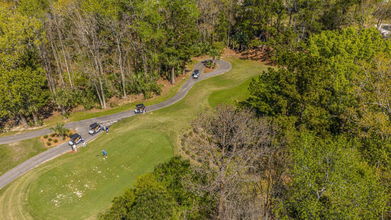 3930 Colonel Vanderhorst Circle Photo 49