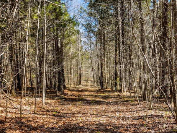 0 Fowler Rd , Beech Bluff, TN 38313
