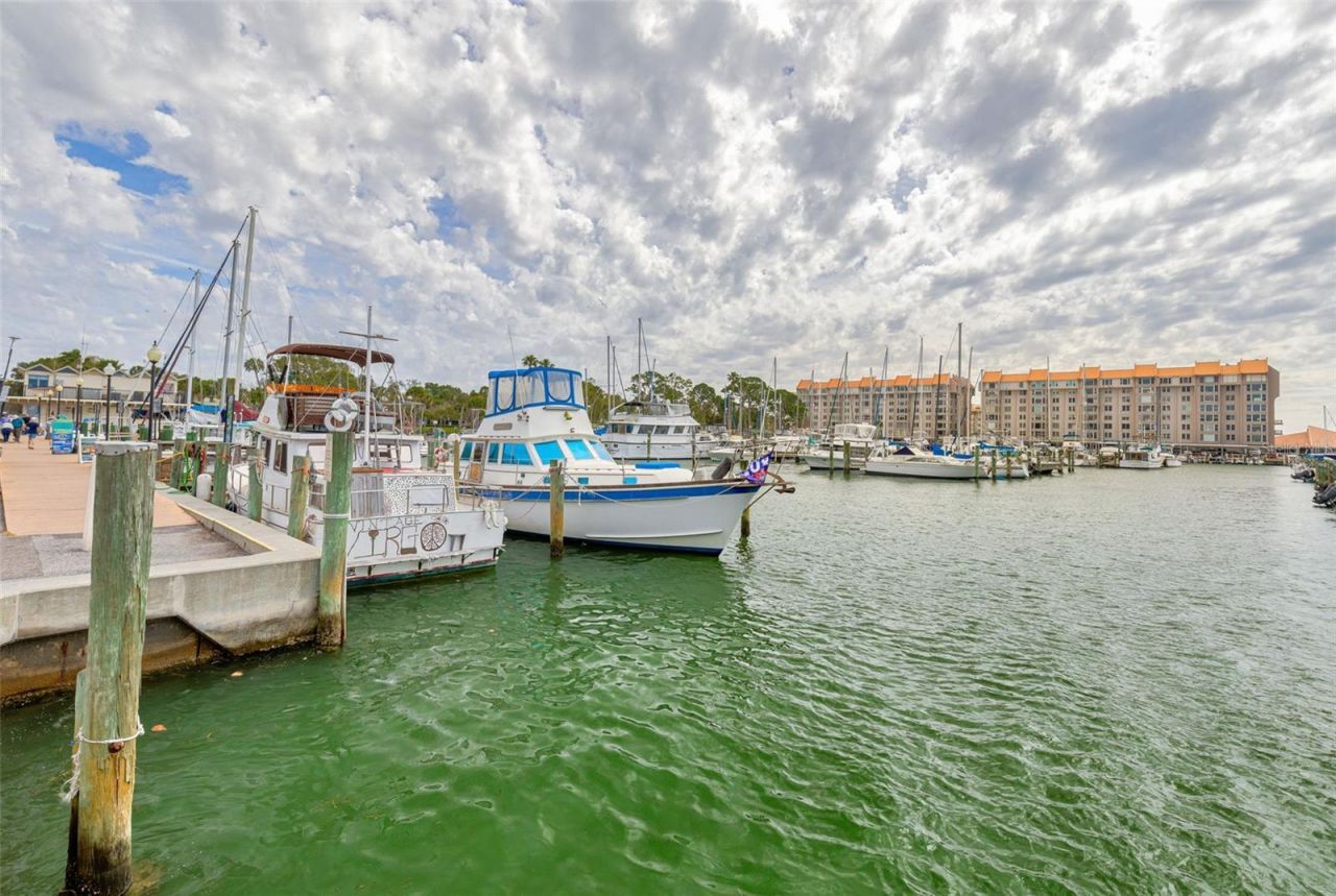 200 Broadway , Dunedin, FL 34698 Photo