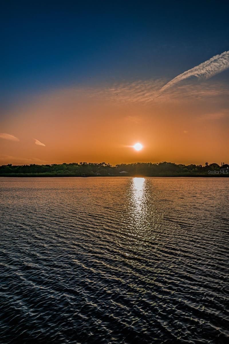 2220 Swedish Drive, Unit 36, Clearwater, FL 33763 Photo