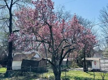 556 ANNE STREET, HUNTINGDON VALLEY, PA 19006