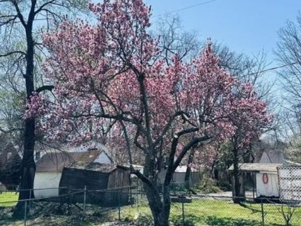 556 ANNE STREET, HUNTINGDON VALLEY, PA 19006