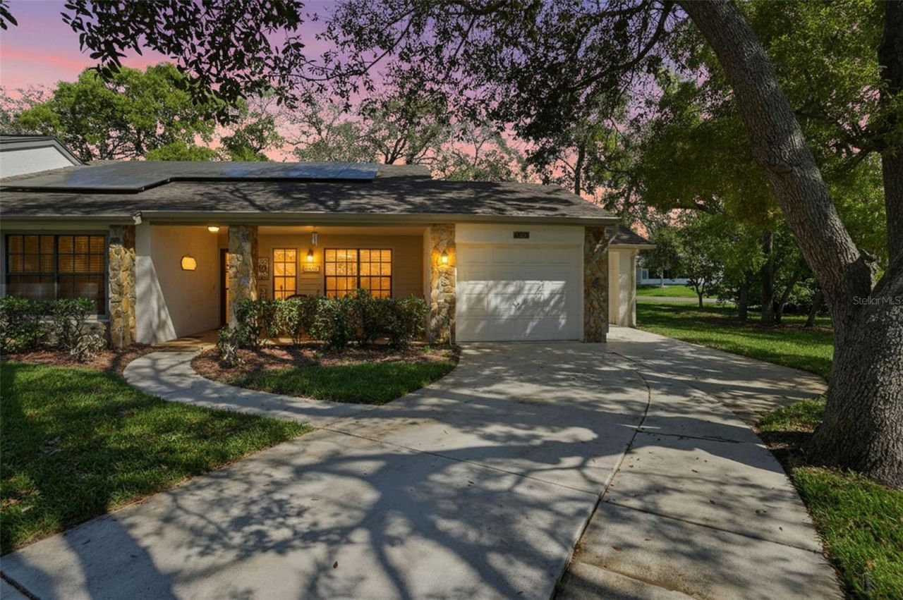 6630 Brambleleaf Drive, Spring Hill, FL 34606 Main Photo