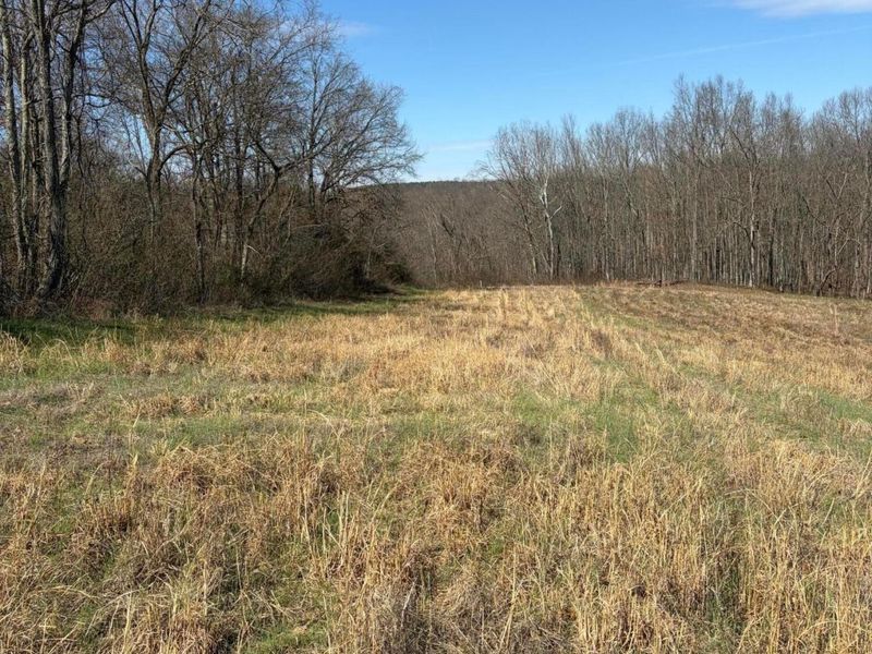 Lot 2- 0 Salem School Lot Road , Langsville, OH 45741 Photo 6