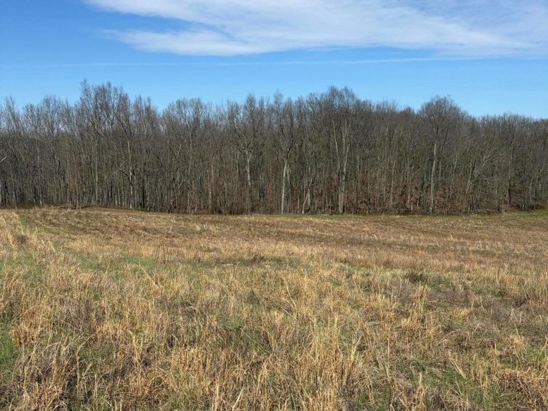 Lot 2- 0 Salem School Lot Road , Langsville, OH 45741 Photo 8