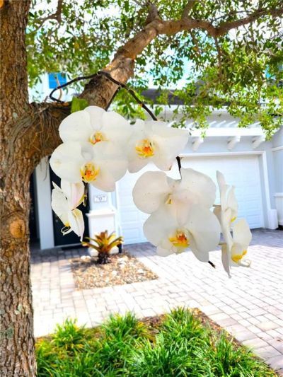 6954 Avalon Cir, Unit 703, Naples, FL 34112 Photo