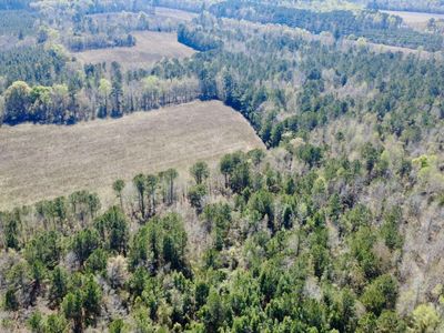 1 Westbury Road, Saint George, SC 29477