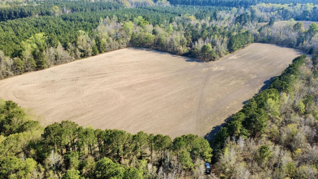 1 Westbury Road Photo 11