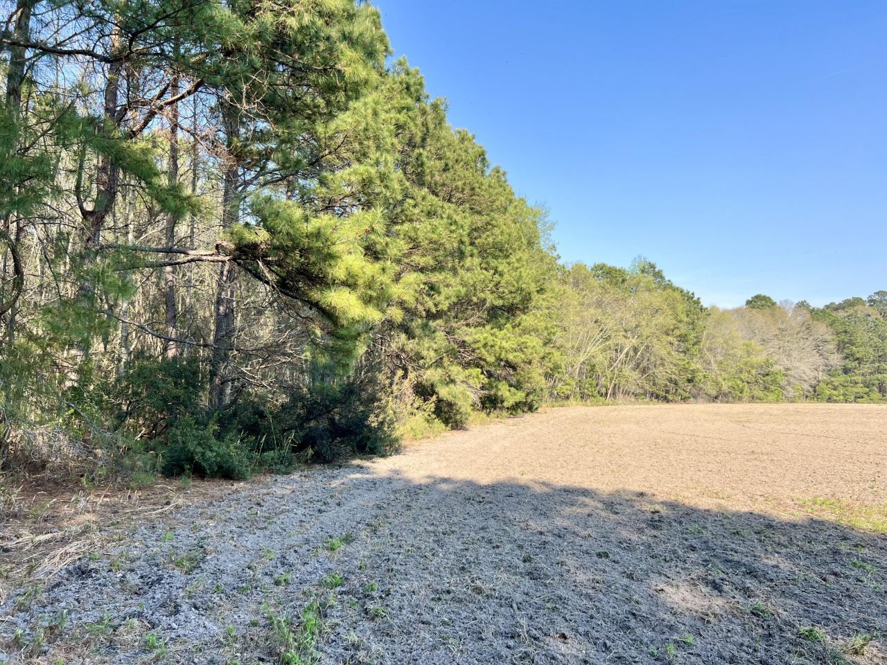 1 Westbury Road Photo 12