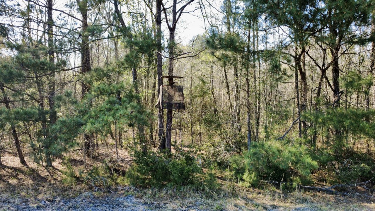 1 Westbury Road Photo 13