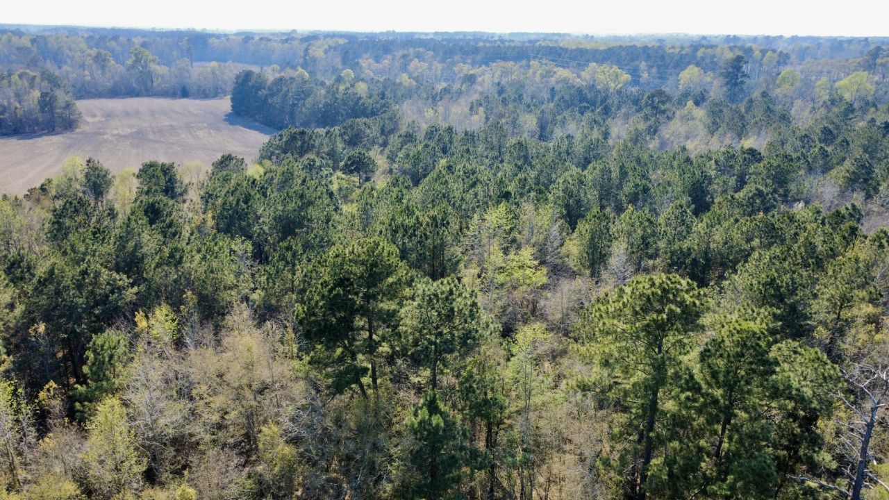 1 Westbury Road Photo 17