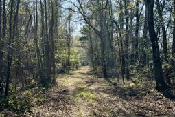 1 Westbury Road photo 4