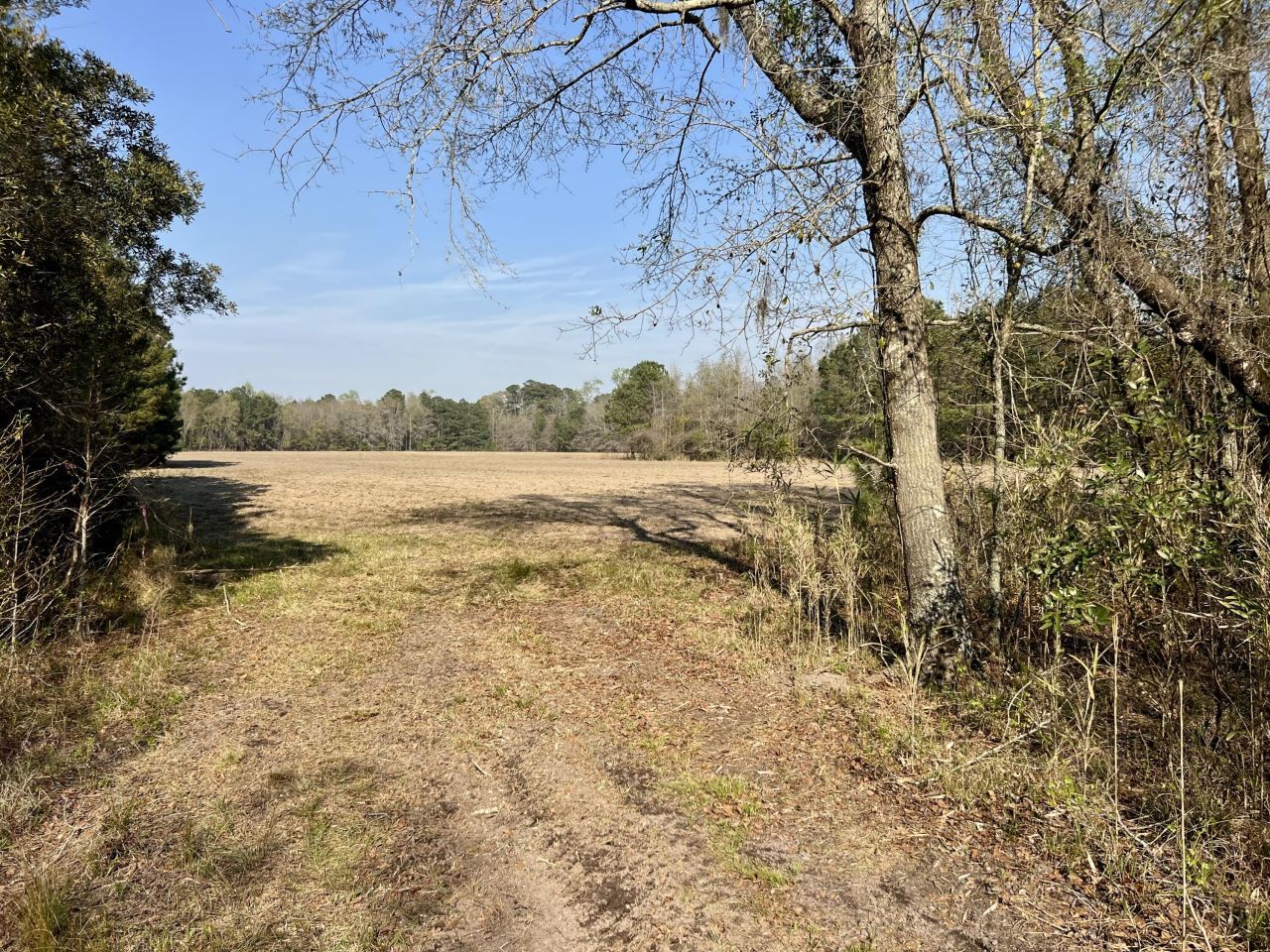 1 Westbury Road Photo 20