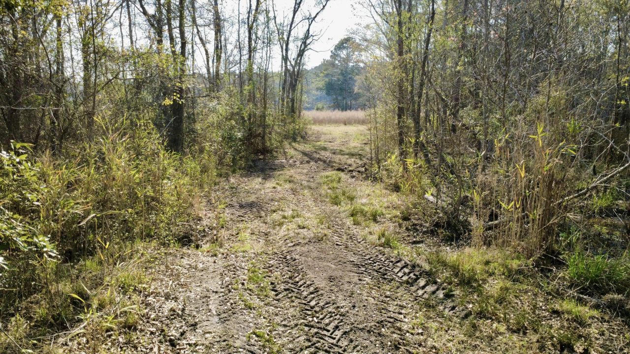 1 Westbury Road Photo 21