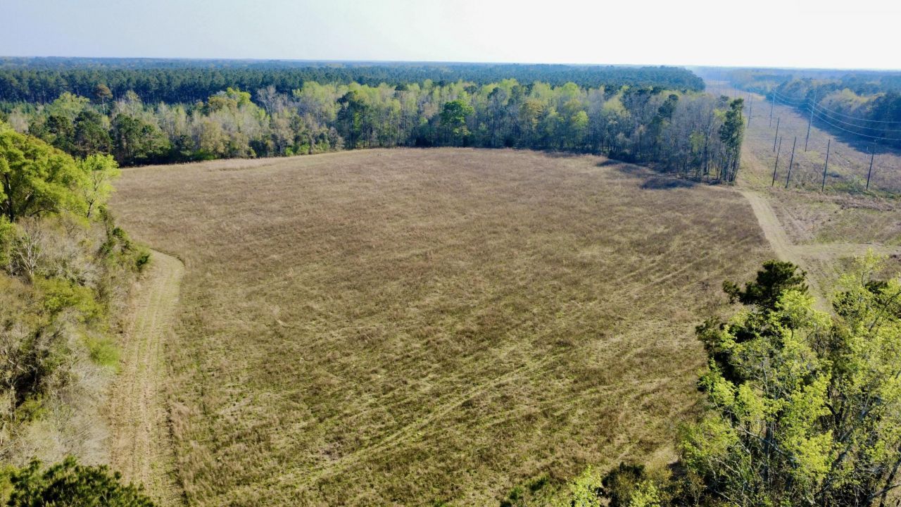 1 Westbury Road Photo 23