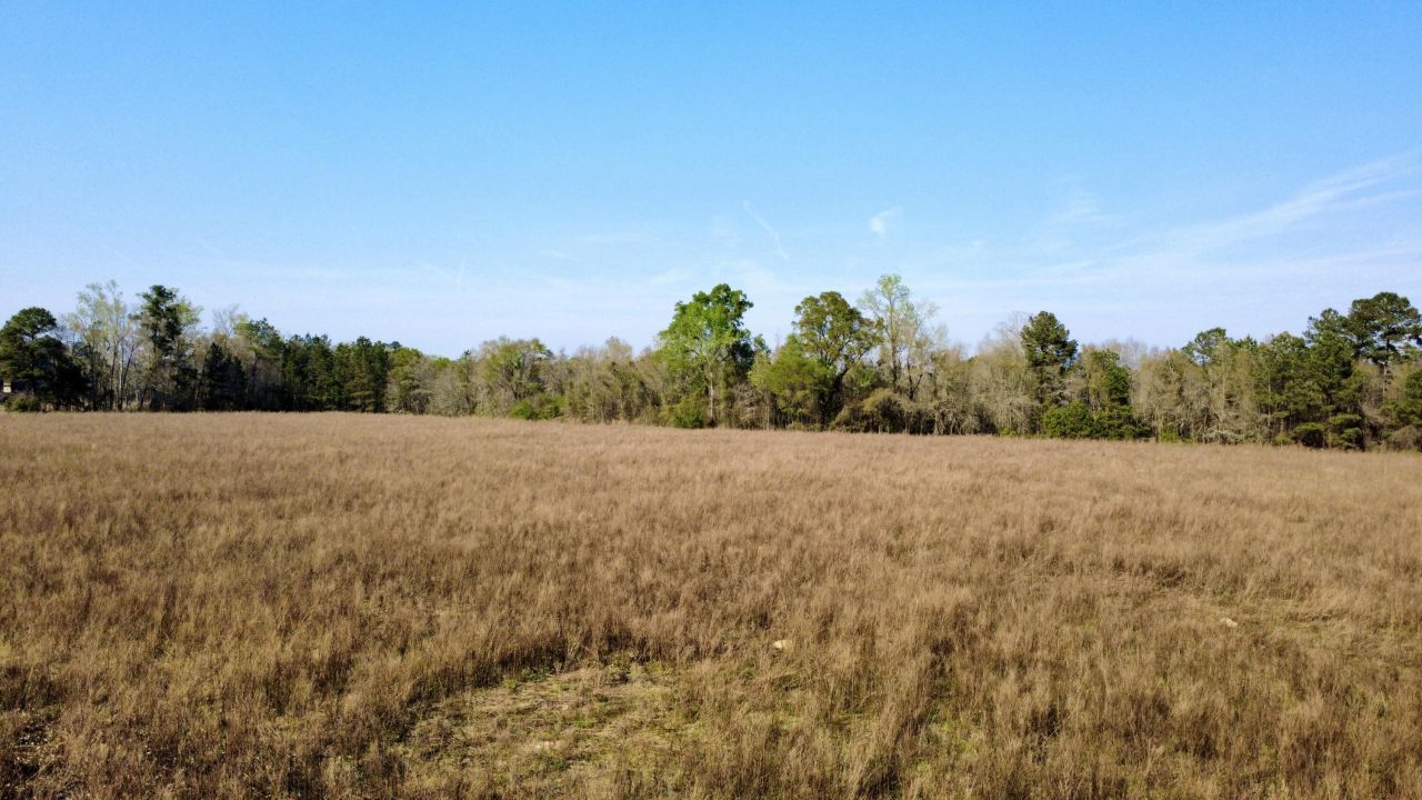 1 Westbury Road Photo 24