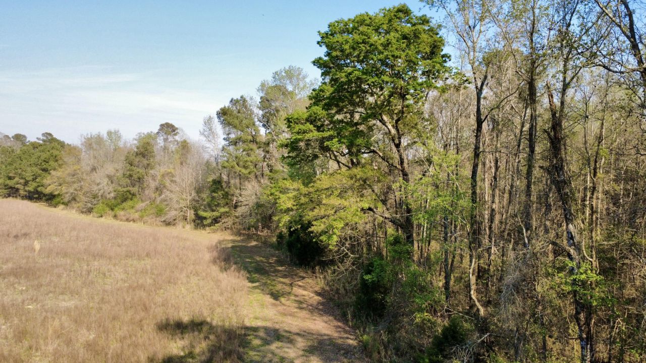 1 Westbury Road Photo 25