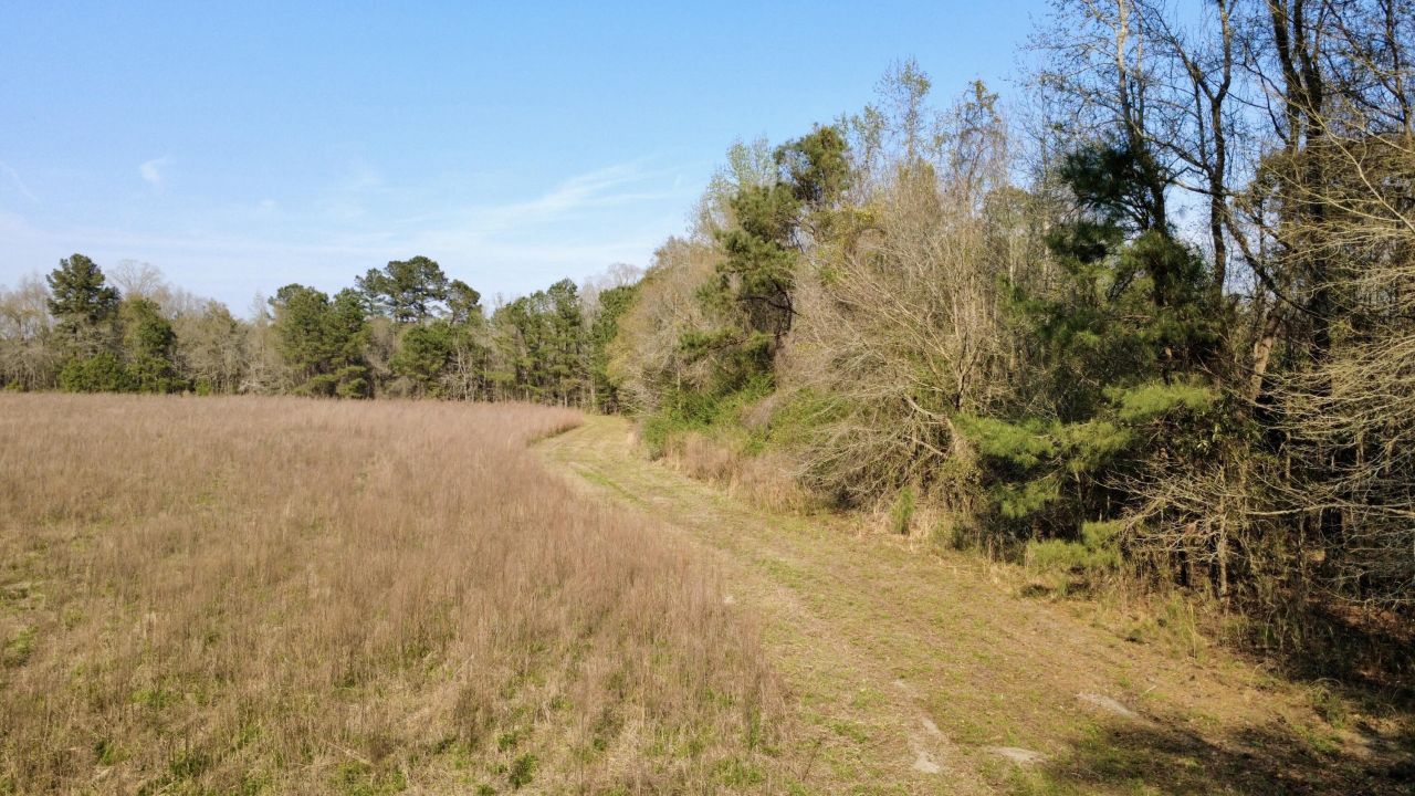 1 Westbury Road Photo 27