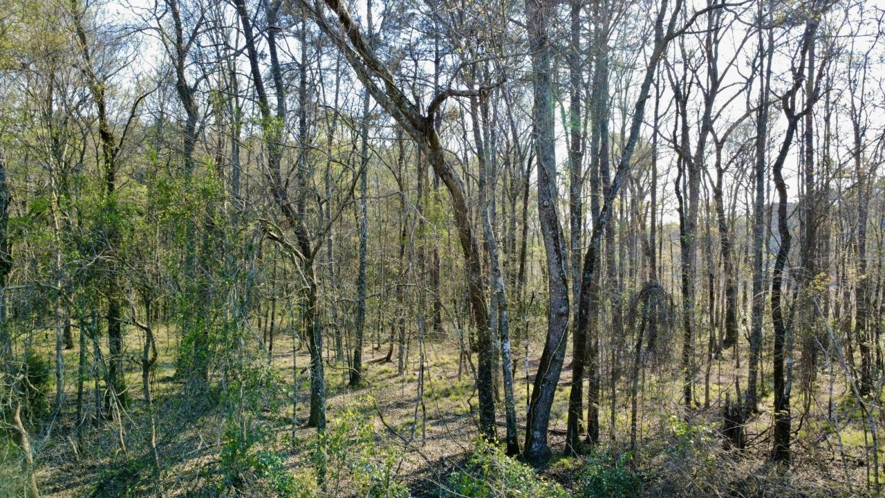 1 Westbury Road Photo 28