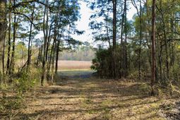 1 Westbury Road photo 4