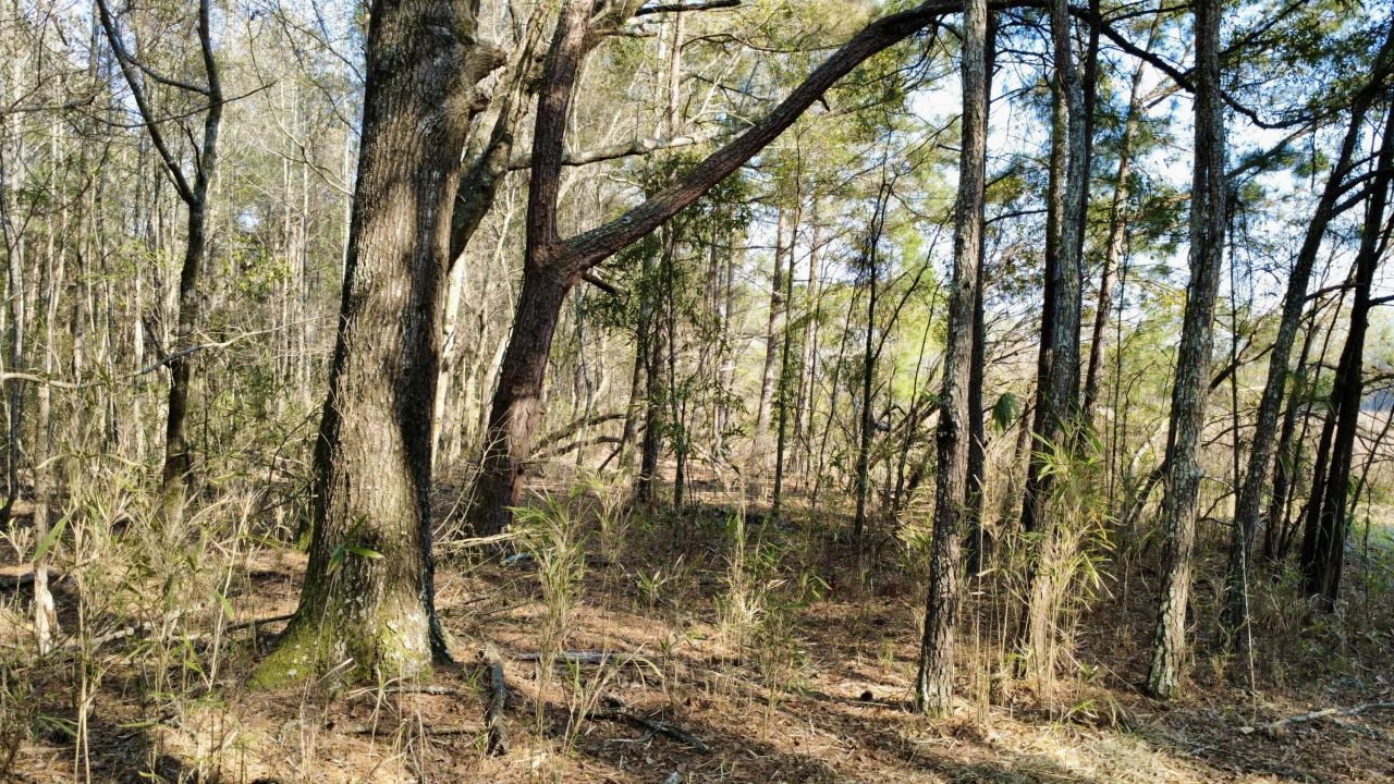 1 Westbury Road Photo 4