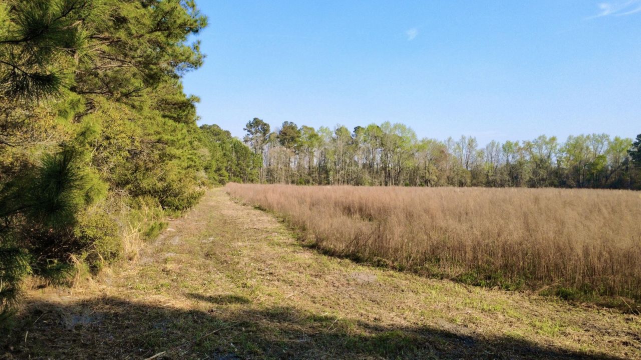 1 Westbury Road Photo 5