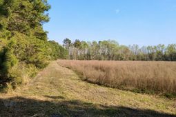 1 Westbury Road photo 4