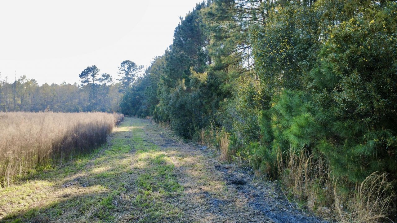 1 Westbury Road Photo 6