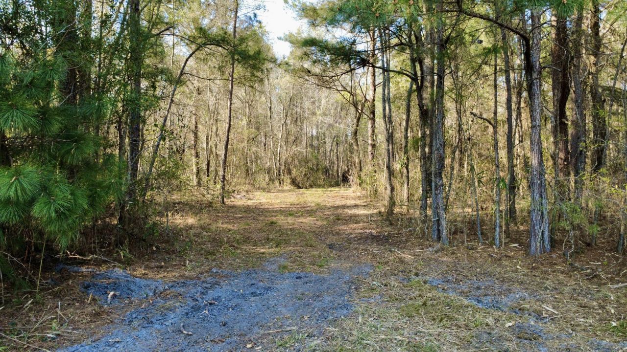 1 Westbury Road Photo 7