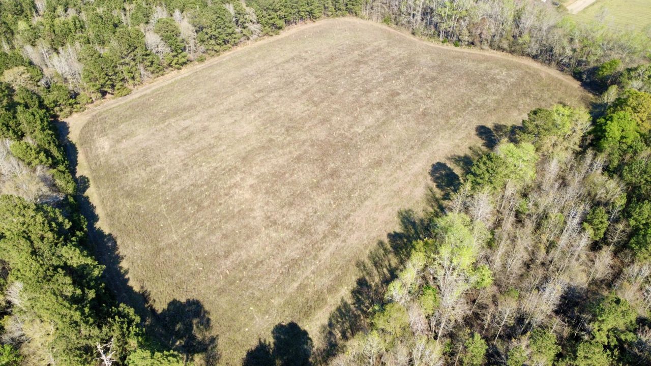 1 Westbury Road Photo 8