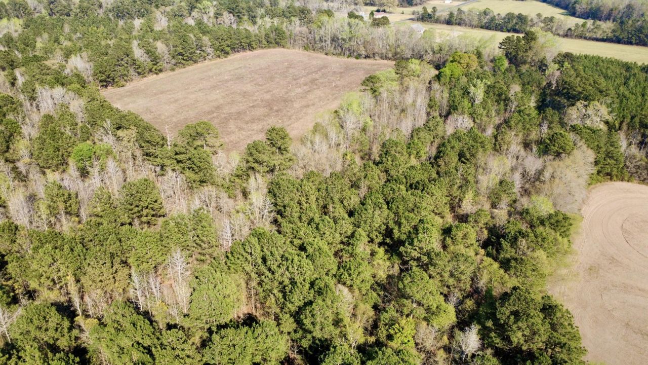 1 Westbury Road Photo 9