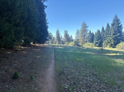1822 Country Club Dr, Placerville, CA 95667 Photo