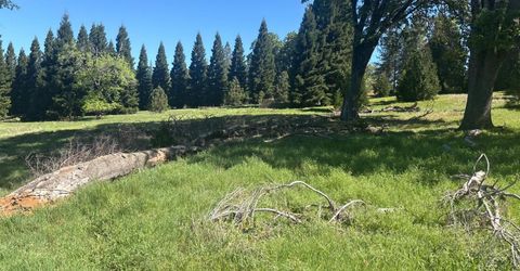 1822 Country Club Dr, Placerville, CA 95667 Photo