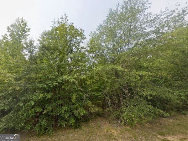 0 E Old Wire Road, Unit 18, Butler, GA 31006