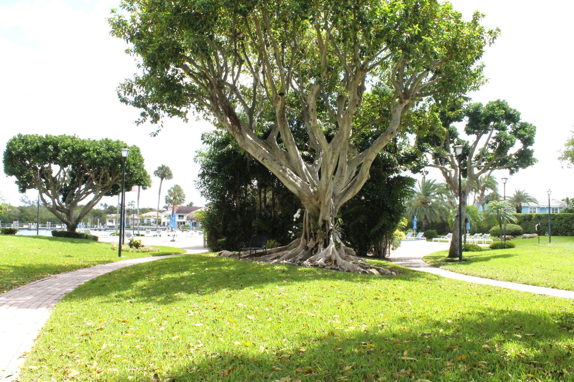 859 Jeffery Street, Unit 311, Boca Raton, FL 33487 Photo