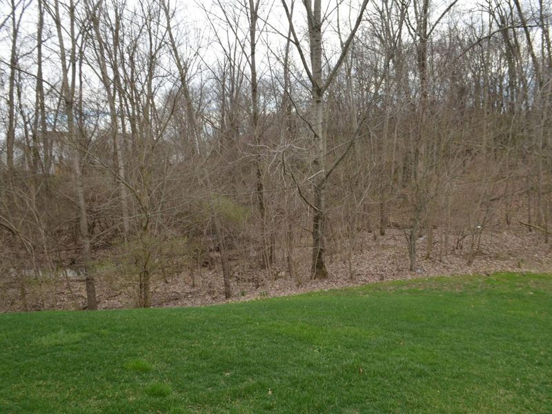 1669 Forest View Drive, Pataskala, OH 43062 Photo 5