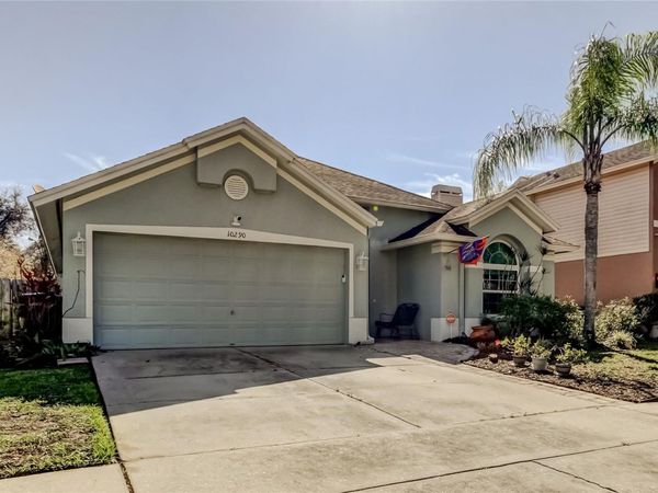 10290 OASIS PALM DRIVE, TAMPA, FL 33615