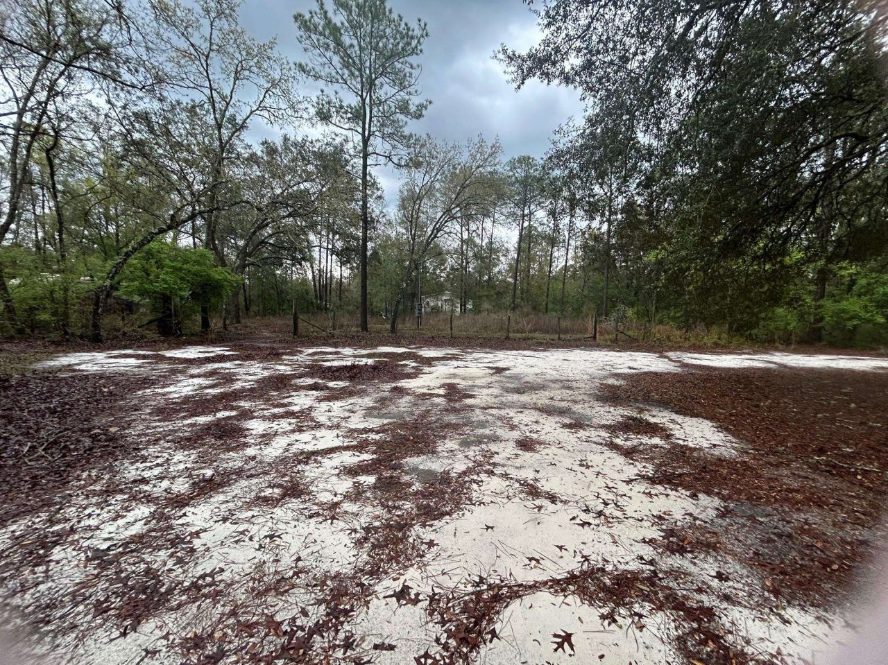 9211 Dorothy Road, Tallahassee, FL 32305 Main Photo