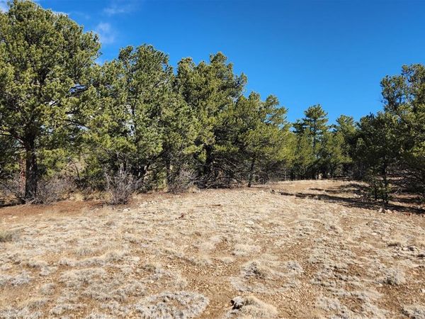 TBD L I Path , Cotopaxi, CO 81223