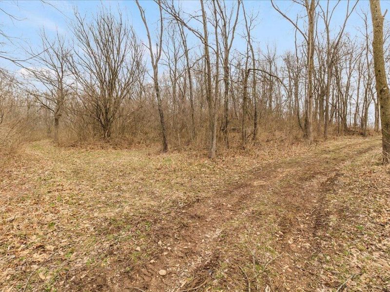 7969 Township Road 166 , West Liberty, OH 43357 Photo 87