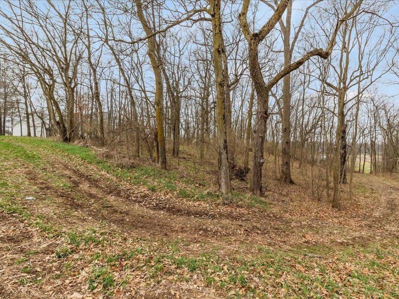 7969 Township Road 166 , West Liberty, OH 43357 Photo 89