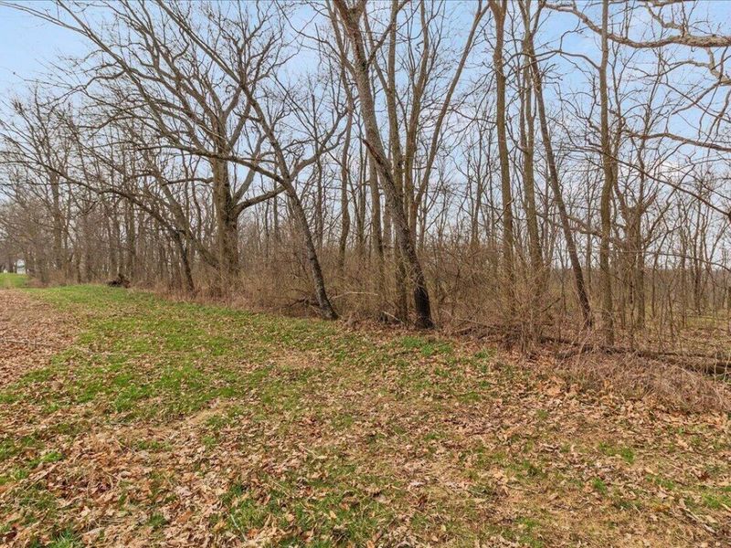 7969 Township Road 166 , West Liberty, OH 43357 Photo 91