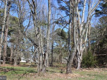 134 NEPTUNE DRIVE, GREENBACKVILLE, VA 23356