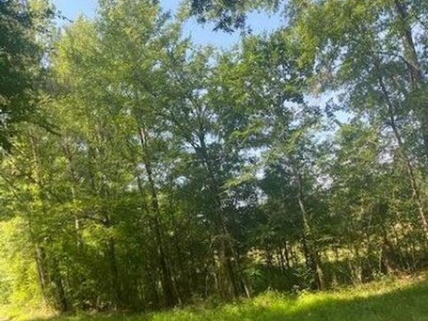 163 Haney Rd Road, Pinola, MS 39149